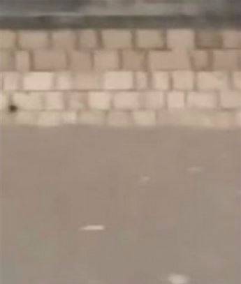 بالفيديو .. يمني ينقذ طفلاً من الغرق في سائلة صنعاء 