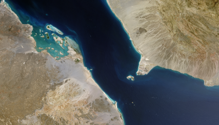 قوات الشرعية والتحالف يخوضان معارك لتحرير تعز عبر محورين