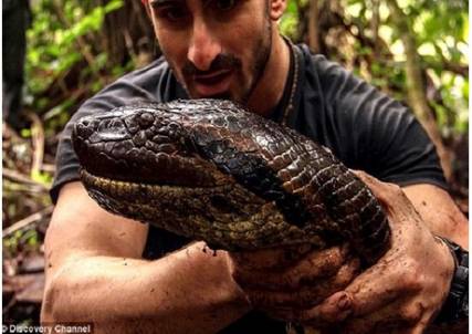 فيديو..."رجل يخرج حيا بعد أن ابتلعته افعى بالكامل"