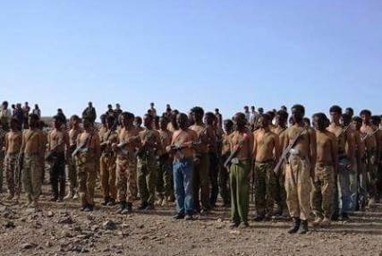 أكثر من 10 آلاف مقاتل يستعدون لتحرير بقية مناطق اليمن تحت غطاء الشرعية ومساندة قوات التحالف