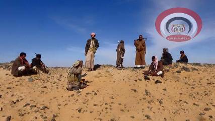 مدفعية المقاومة الشعبية تدك مواقع الحوثيين جنوب الجوف 